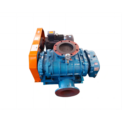 It wurkprinsipe fan Roots Vacuum Pump