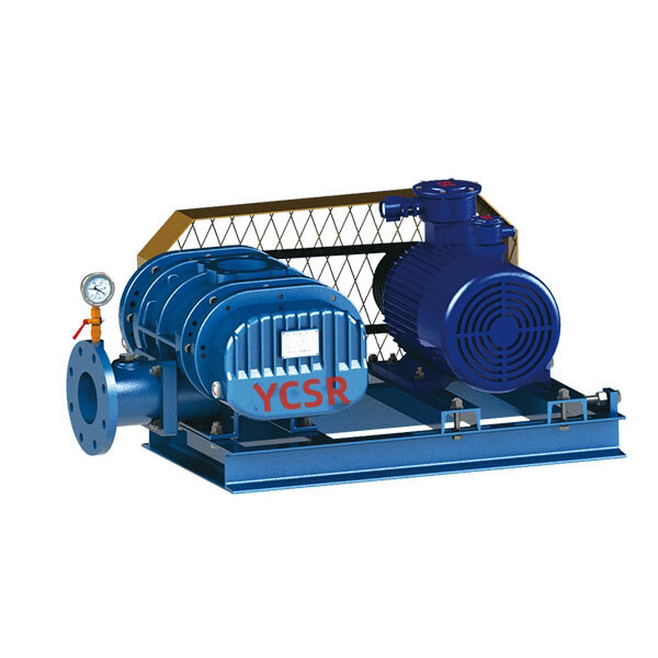 Grutte Volume Roots Vacuum Pump