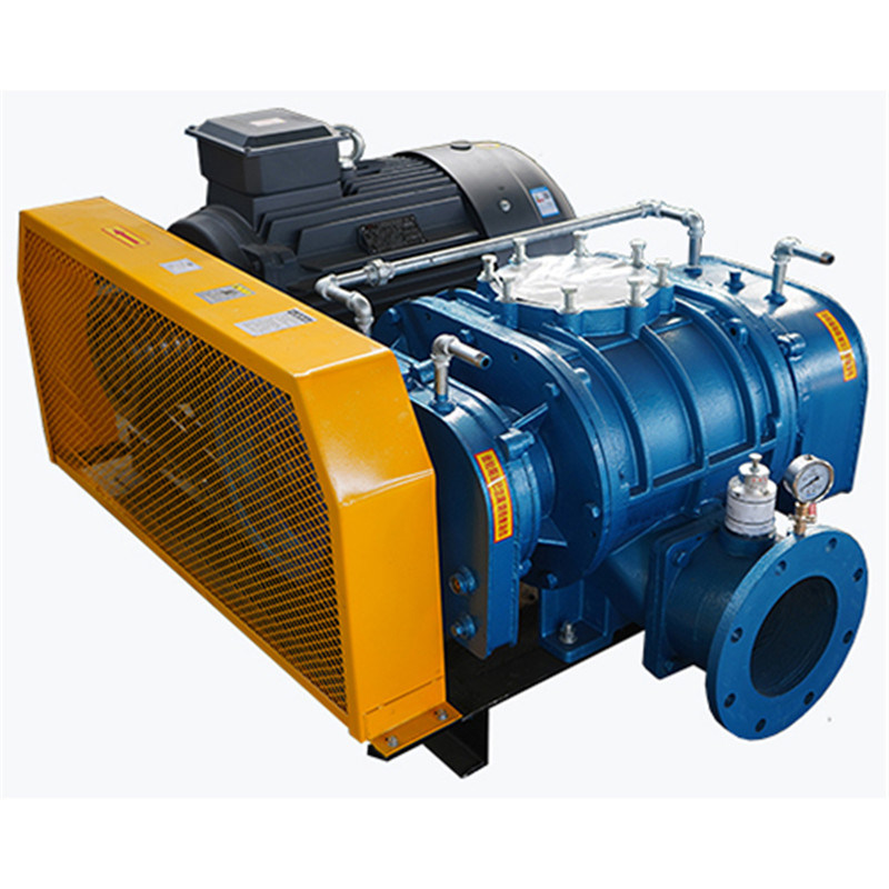 Pneumatyske Conveying Roots Blower Vacuum Pump